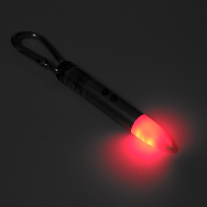 Лазерная указка  Лазерная указка "Мастер К", с карабином, 3 LR44, 2 х 2 х 8.5