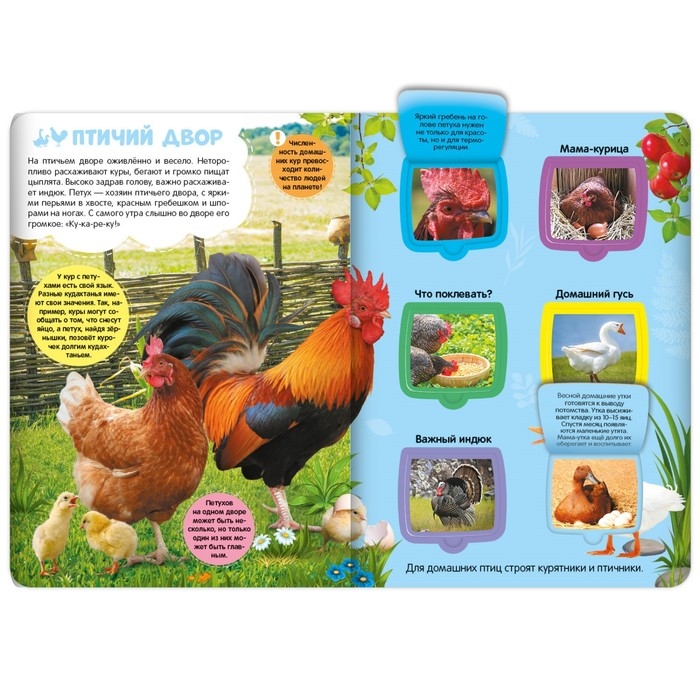 Книжка с окошками «Ферма» Книжка с окошками «Ферма»