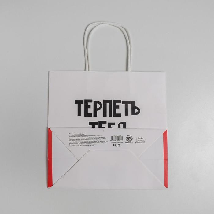 Пакет подарочный, упаковка, «Терпеть тебя не могу», 22 х 22 х 11 см Пакет подарочный, упаковка, «Терпеть тебя не могу», 22 х 22 х 11 см