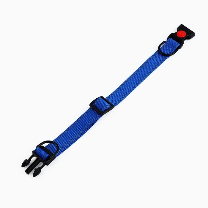 Ошейник с подкладом из нейлона с фастексом 2,5 см, ОШ 31-48 см, синий Ошейник с подкладом из нейлона с фастексом 2,5 см, ОШ 31-48 см, синий