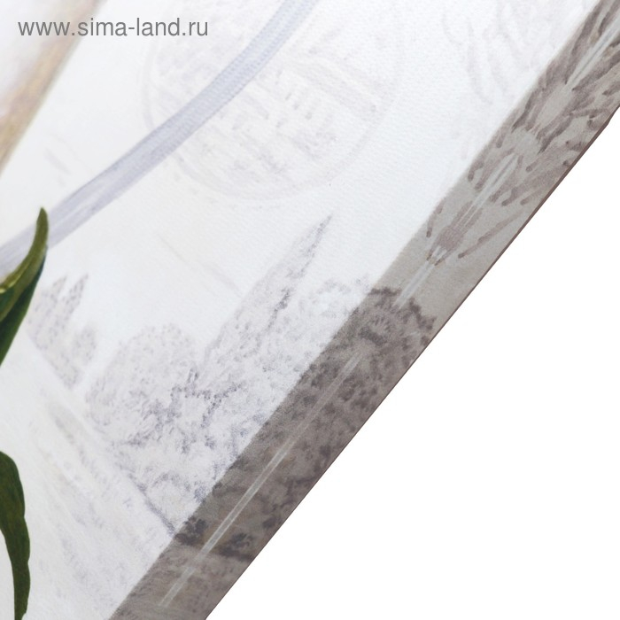 Картина-холст на подрамнике Картина-холст на подрамнике "Натюрморт" 60х100 см