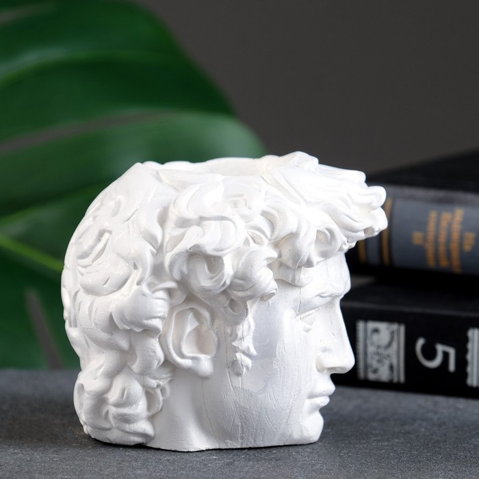 Кашпо - органайзер Кашпо - органайзер"Голова Давида" перламутр, 9х9х9см