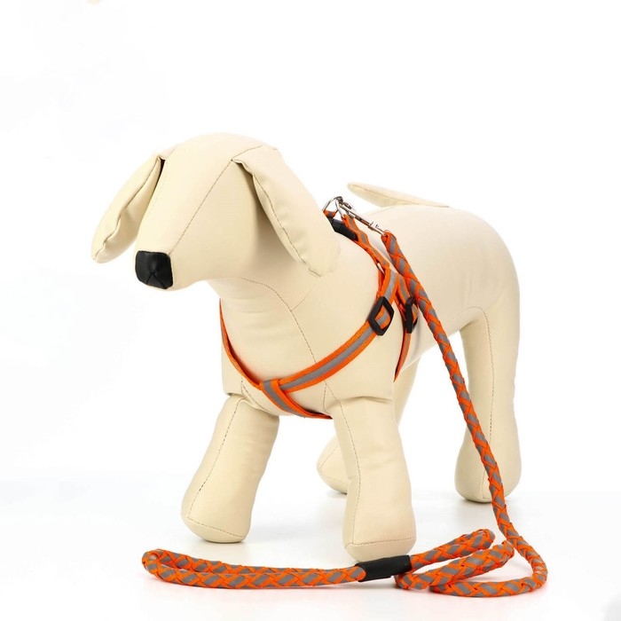 Комплект  Комплект "Плетенка", флуоресцентный, поводок 115 х 1 см, ОГ 32-48 х 1,5 см, оранжевый