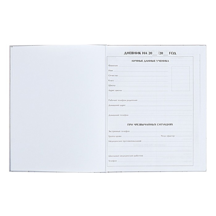 Дневник для 5-11 классов "Современный вайб. Анонимность", твёрдая обложка, матовая ламинация, выборочный лак, 48 листов