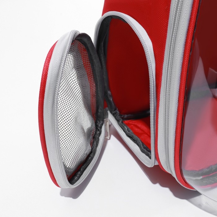 Рюкзак для переноски кошек, прозрачный, 32 х 28 х 42 см, красный Рюкзак для переноски кошек, прозрачный, 32 х 28 х 42 см, красный