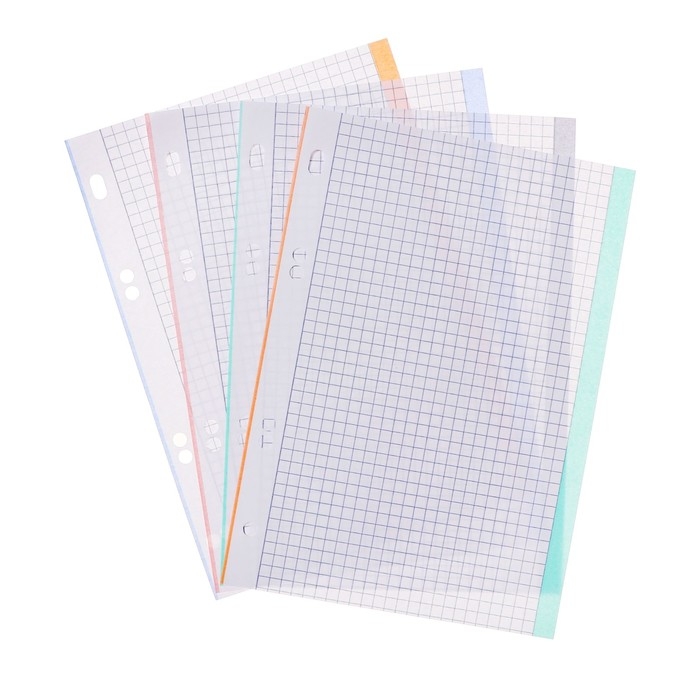 Сменный блок для тетрадей на кольцах А5, 80 листов в клетку, многоцветный срез, в индивидуальной упаковке, блок 65 г/м2 Сменный блок для тетрадей на кольцах А5, 80 листов в клетку, многоцветный срез, в индивидуальной упаковке, блок 65 г/м2