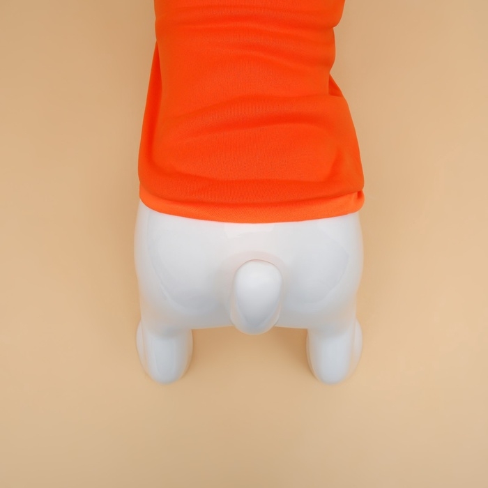 Толстовка Толстовка "Любимая морковка", размер XL (ДС 40, ОГ 56 см)