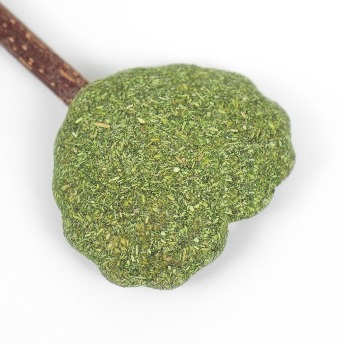 Игрушка для кошек из кошачьей мяты  Игрушка для кошек из кошачьей мяты "Сердце" на палочке из мататаби, 13 см