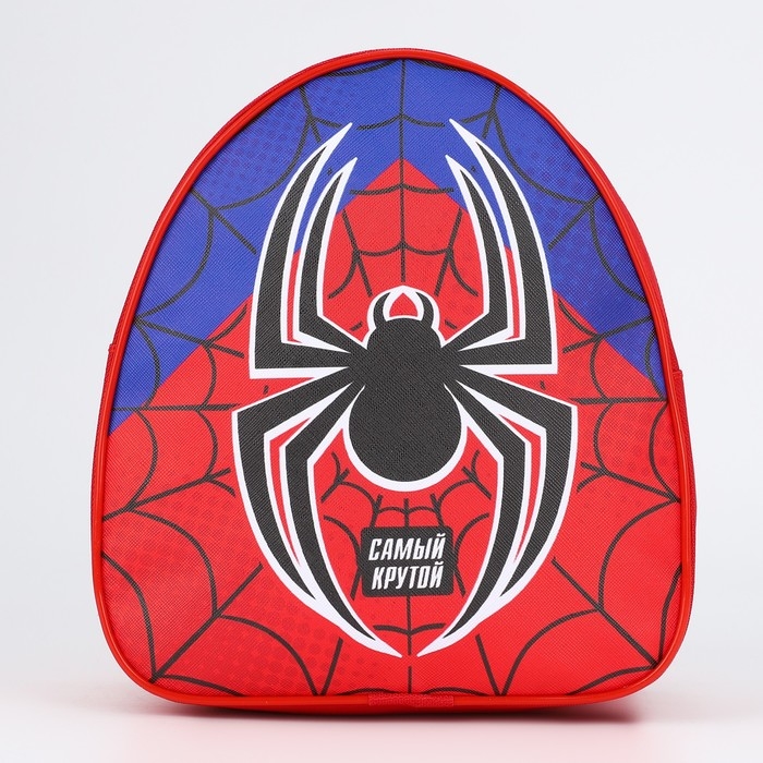Рюкзак детский для мальчика «Паучок», р-р. 23х20,5 см