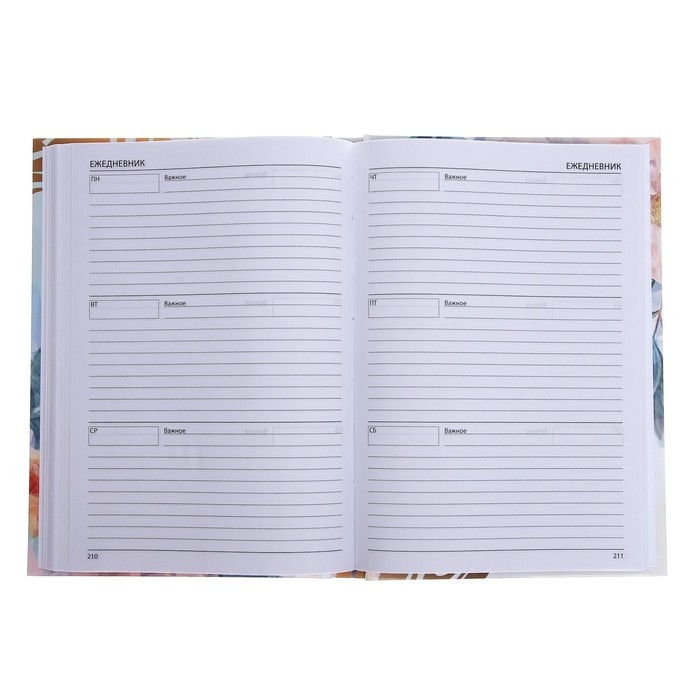 Ежедневник недатированный на сшивке А5 144 листа, картон 7БЦ Ежедневник недатированный на сшивке А5 144 листа, картон 7БЦ "Любимому преподавателю"