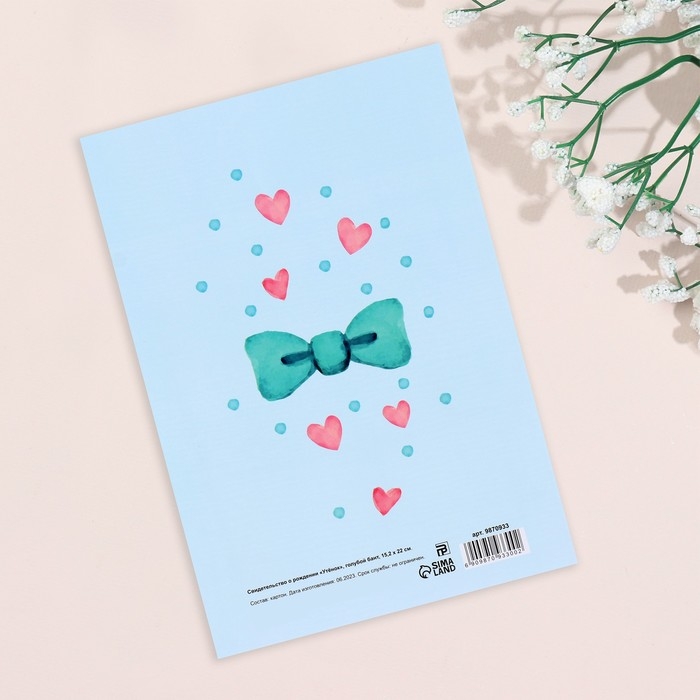 Папка под свидетельство о рождении  Папка под свидетельство о рождении "Утёнок" голубой бант, А5