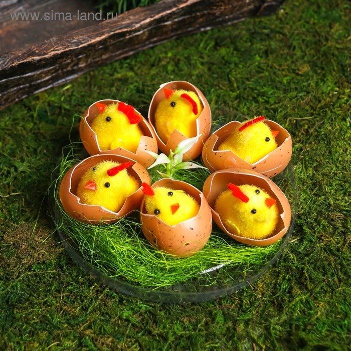 Сувенир пасхальный Сувенир пасхальный "Цыплята в яйце на травке" набор 6 шт 4,5х14х14 см