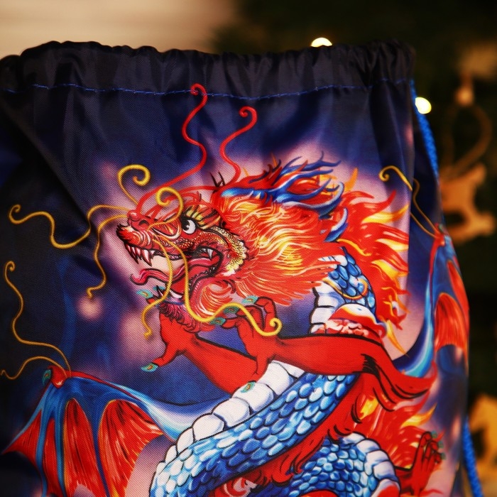 Мешок на шнурке, цвет синий/разноцветный Мешок на шнурке, цвет синий/разноцветный