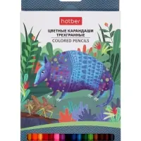 Карандаши 18цв, Hatber, заточ, трехгр,  коробка, европодвес 63838