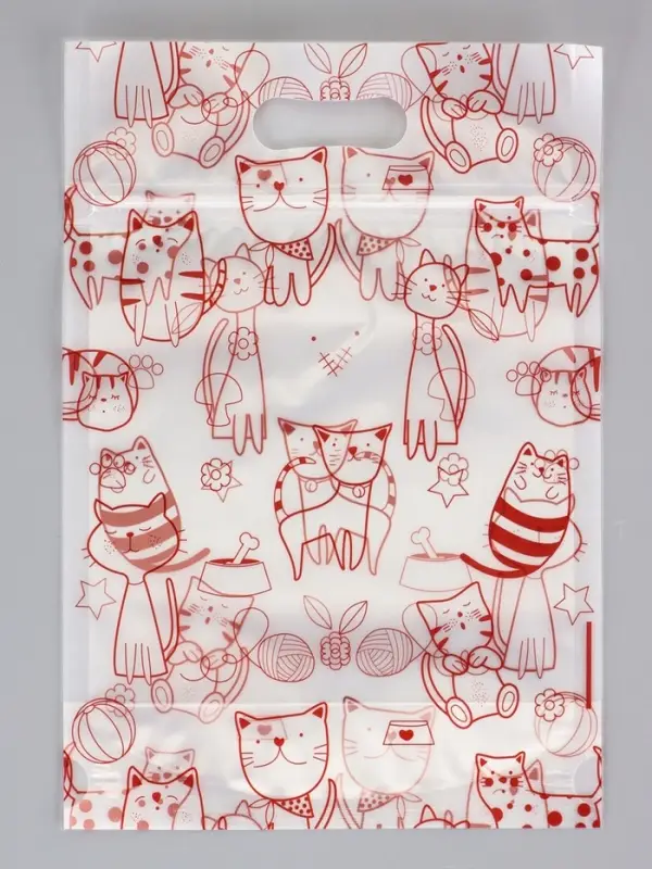 Пакет подарочный, с zip - lock застежкой, 15&times;23 см