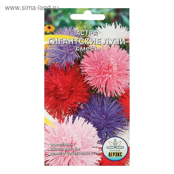 Семена цветов однолетние Астра Гигантские лучи Смесь 0,2 Семена цветов однолетние Астра Гигантские лучи Смесь 0,2