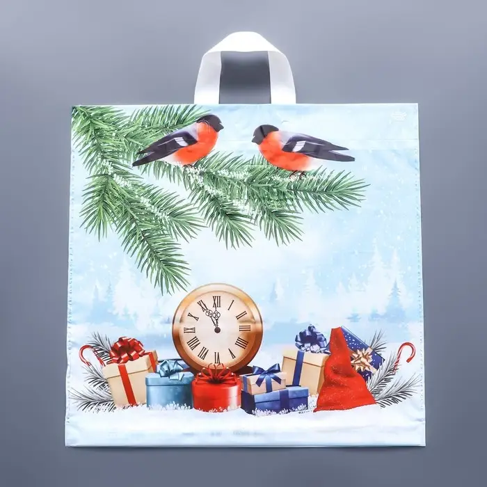 Пакет Пакет "Пернатые друзья", полиэтиленовый с петлевой ручкой, 42 х 44 см.