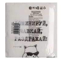 Салфетки бумажные однослойные &laquo;Доминируй, чавкай, раздражай&raquo;, 24&times;24 см, набор 20 шт.