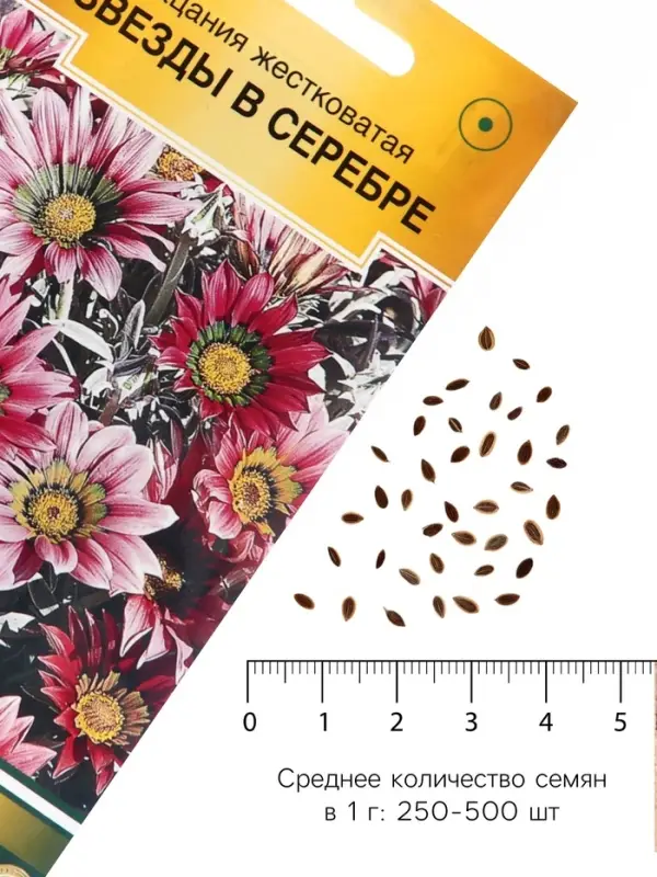Семена цветов гацания жестковатая &laquo;Звезды в серебре&raquo;, 5 шт.