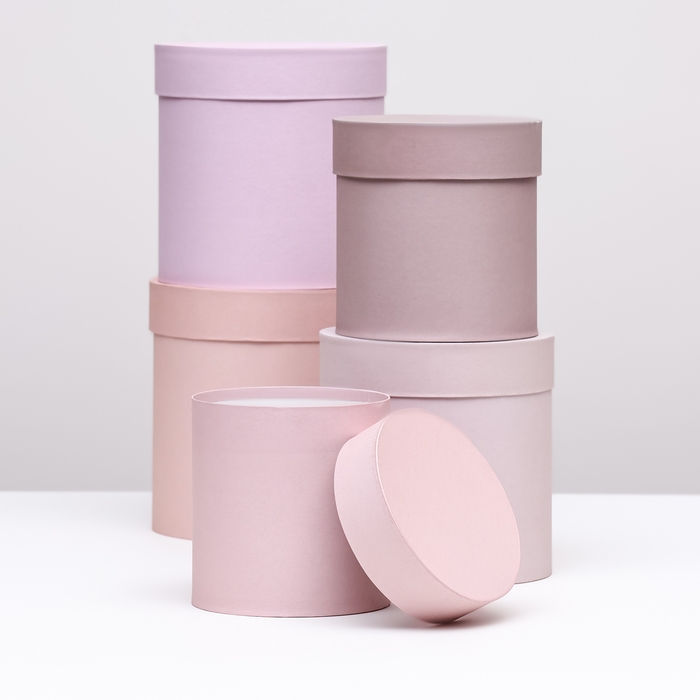 Набор шляпных коробок 5 в 1 "Пудра",20 × 20 × 20‒13,5 × 13,5 × 13,5 см