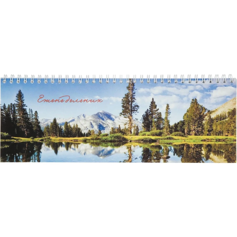 Планинг недатированный 295х100  56 л.Пт 4603721416431