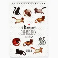 Скетчбук &laquo;Кот&raquo; А5, 40 л, 100 г/м&sup2;