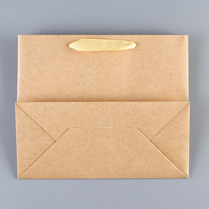 Пакет подарочный новогодний крафтовый с пластиковым окном «Gold», 24 х 20 х 11см Пакет подарочный новогодний крафтовый с пластиковым окном «Gold», 24 х 20 х 11см