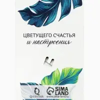 Брошь &laquo;Скорпион&raquo;, розовая, фиолетовый в черненом серебре