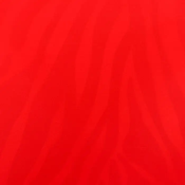 Пленка для цветов двухсторонняя Пленка для цветов двухсторонняя "Зебра" красный, 58×58±5% см