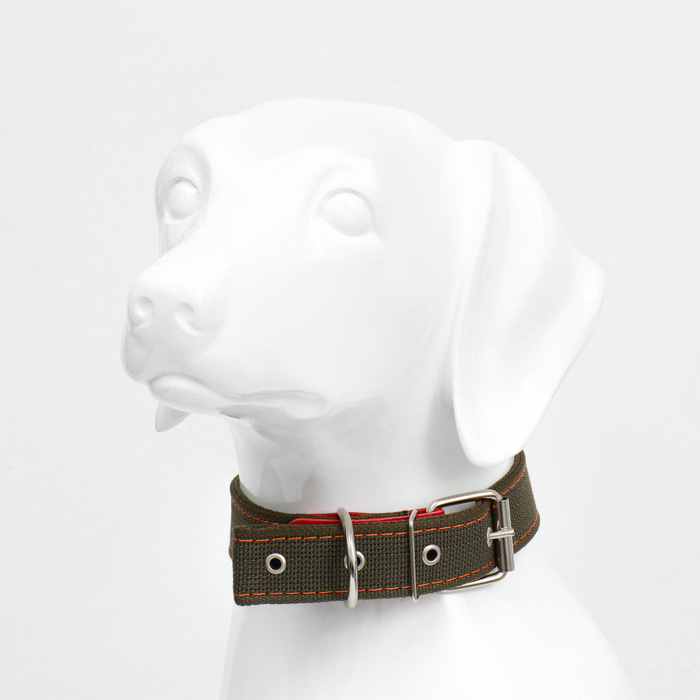 Ошейник брезентовый двухслойный, 72 х 3,5 см, ОШ 45-60 см, хаки Ошейник брезентовый двухслойный, 72 х 3,5 см, ОШ 45-60 см, хаки