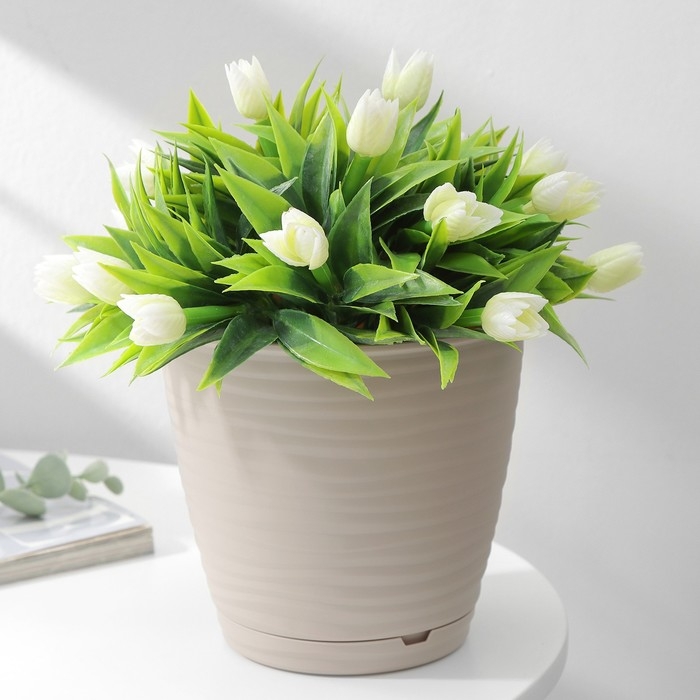 Горшок для цветов с поддоном Saffron, 1,5 л, d=14,6 см, h=13,5 см, цвет бежевый Горшок для цветов с поддоном Saffron, 1,5 л, d=14,6 см, h=13,5 см, цвет бежевый