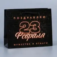 Пакет подарочный ламинированный, упаковка, «С 23 февраля», S 12 х 15 х 5.5 см