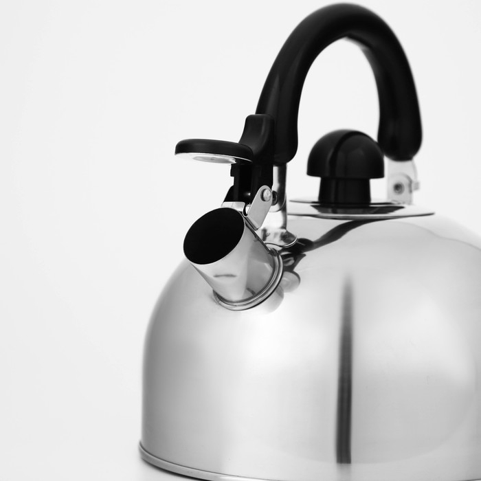 Чайник со свистком из нержавеющей стали Доляна «Чёрная ночь», 3 л, фиксированная ручка, цвет хромированный Чайник со свистком из нержавеющей стали Доляна «Чёрная ночь», 3 л, фиксированная ручка, цвет хромированный