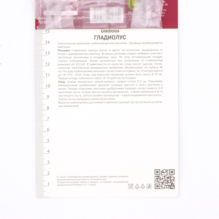 Гладиолус крупноцветковый «Кемистри», луковица цветов в пакете с перфорацией, р-р 12/14, 5 шт.