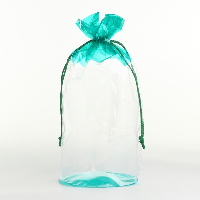 Косметичка на шнуре, цвет прозрачный/зелёный Косметичка на шнуре, цвет прозрачный/зелёный