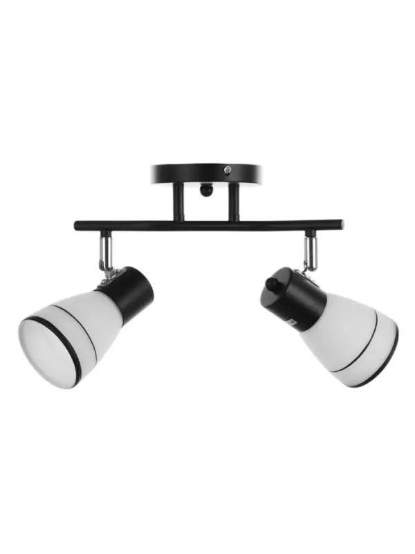 Спот потолочный &laquo;Айрис&raquo;, 2хЕ14, 40 Вт, черный, 38&times;18&times;22 см