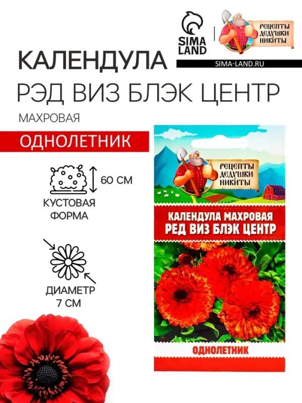 Семена цветов Календула махровая  Семена цветов Календула махровая "Ред виз блэк центр", 0,3 г