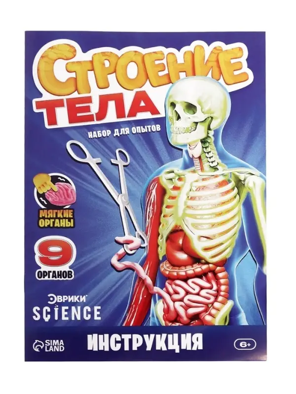 Набор для опытов по анатомии &laquo;Строение тела&raquo;, светится в темноте, с мягкими органами