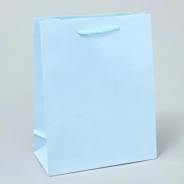 Пакет подарочный ламинированный, упаковка, «Голубой», MS 18 х 23 х 8 см