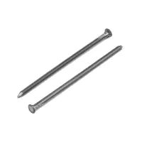 Гвозди ТУНДРА, строительные, ГОСТ 4028-63, без покрытия, 4&times;100 мм, 25 кг