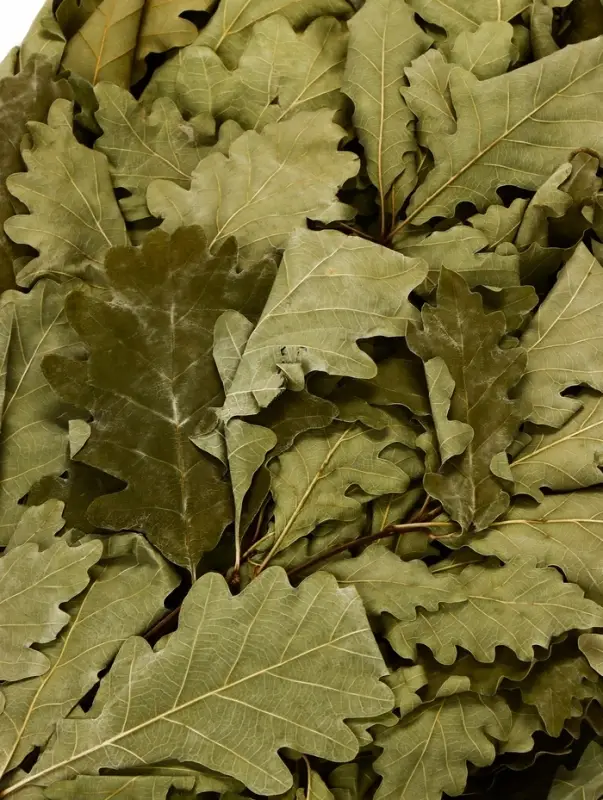 Веник для бани &laquo;Элитный&raquo;, дубовый, 55 см, с обмотанной ручкой, &laquo;Добропаровъ&raquo;