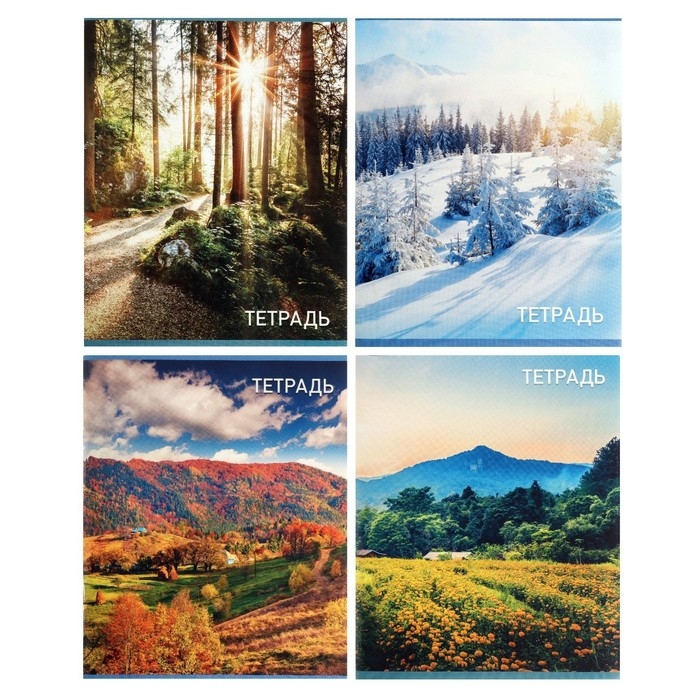 Комплект тетрадей из 4 штук, 96 листов в клетку Calligrata Комплект тетрадей из 4 штук, 96 листов в клетку Calligrata "Природа", обложка мелованный картон, блок №2, белизна 75% (серые листы)