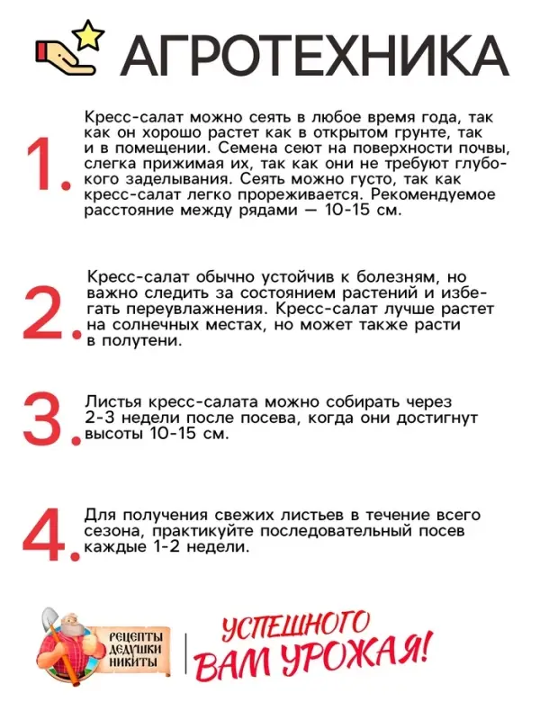 Семена шпинат &laquo;Жирнолистный&raquo;, 3 г, &laquo;Рецепты дедушки Никиты&raquo;