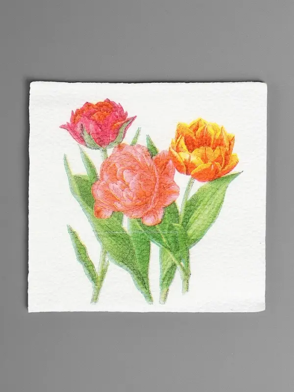 Салфетки бумажные Гармония цвета многоцветие Салфетки бумажные Гармония цвета многоцветие "Тюльпаны", 24*24 см 50 листов