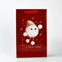 Пакет подарочный «Новогодний сюрприз», с заколками, 25,5 × 9 × 30 см Пакет подарочный «Новогодний сюрприз», с заколками, 25,5 × 9 × 30 см