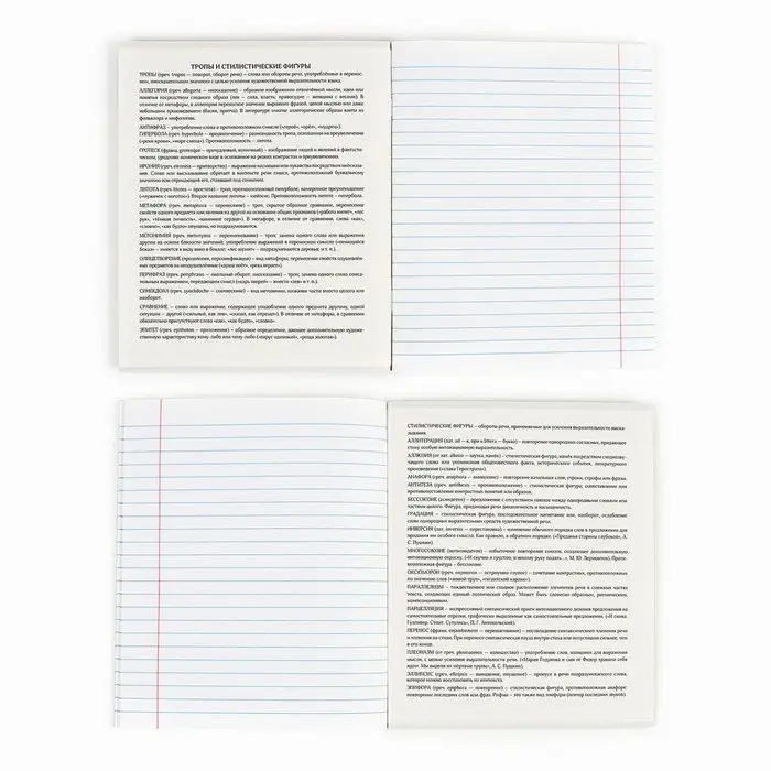 Тетрадь в линейку, предметная, 36 л.,на скрепке, блок №1&laquo;Россия. Литература&raquo;