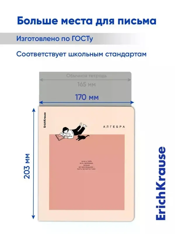 Комплект тетрадей 48 листов в клетку/линейку ErichKrause Study Buddy, 12 штук