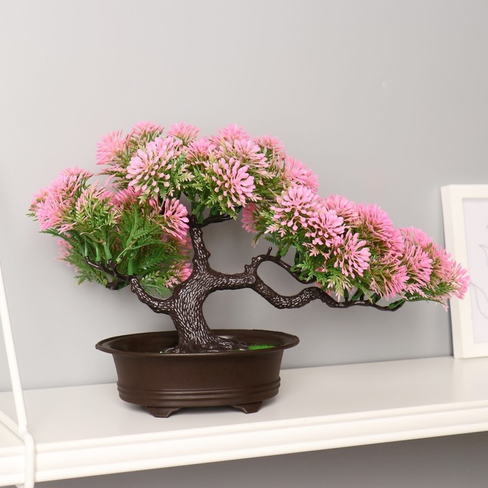 Бонсай Бонсай "Звёздник" 16х22 см, микс