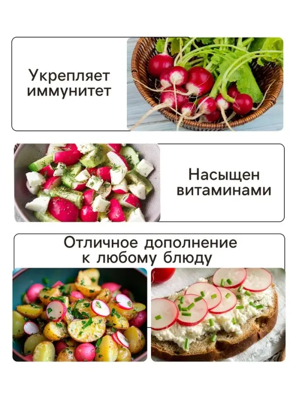 Семена Редис  Семена Редис "Ранний красный", 2 г