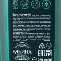 Гель для душа и шампунь освежающий 2 в 1 «Ледяная свежесть», 250 мл, аромат мята, яблоко и лимон, HARD LINE